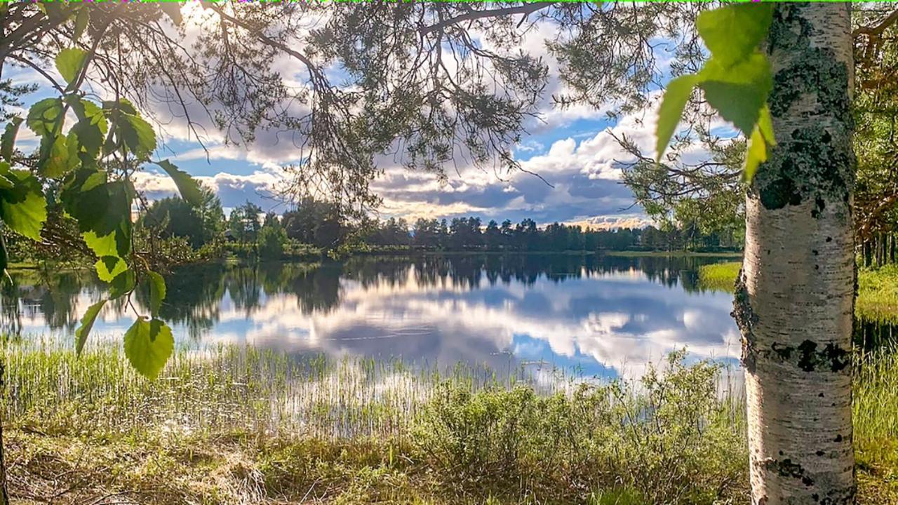 Trollforsen Camping & Cottages Gargnäs Buitenkant foto